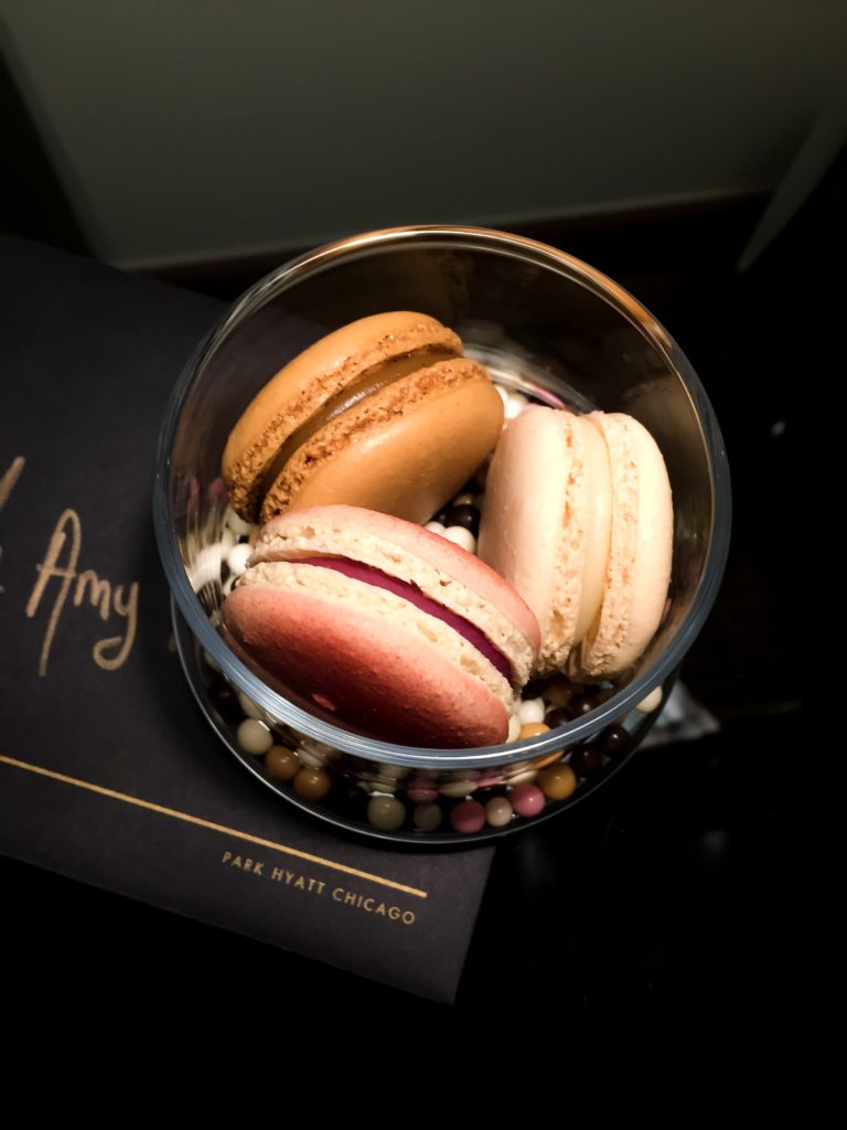 park hyatt chicago treats