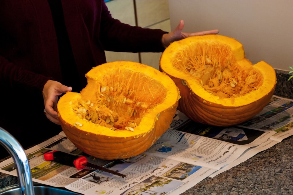 pumpkins seeds halloween