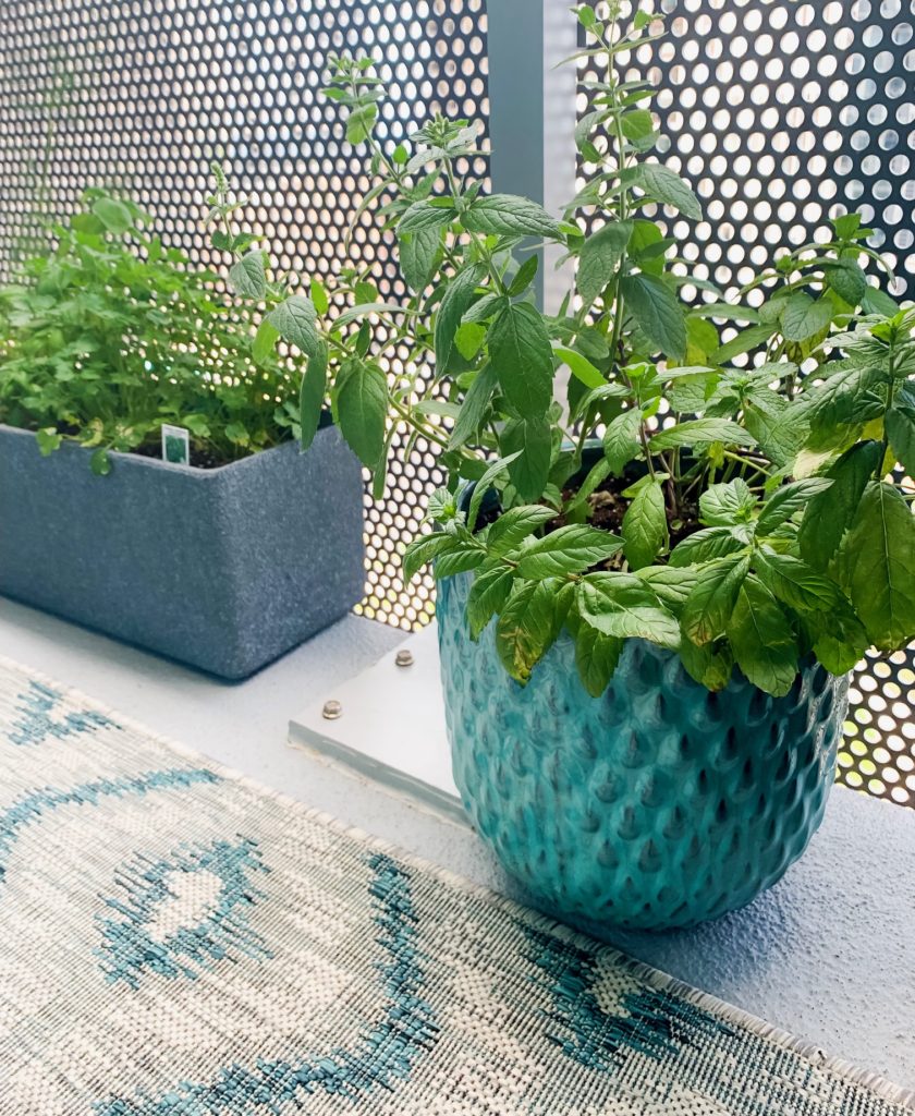 outdoor pots 