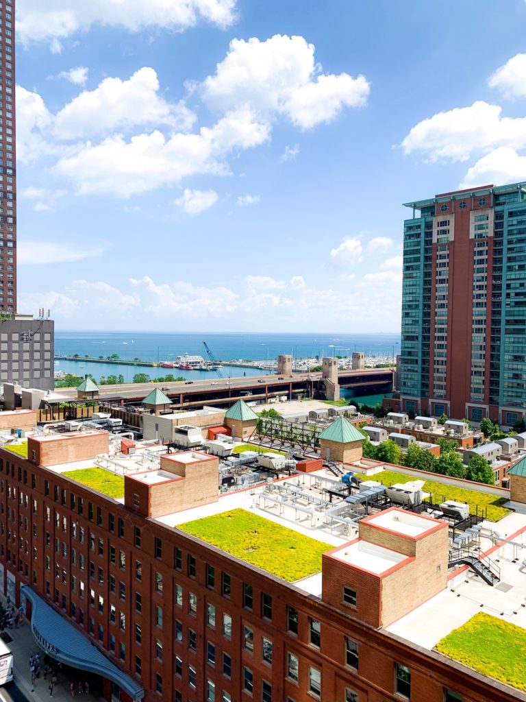 view of a rooftop garden 