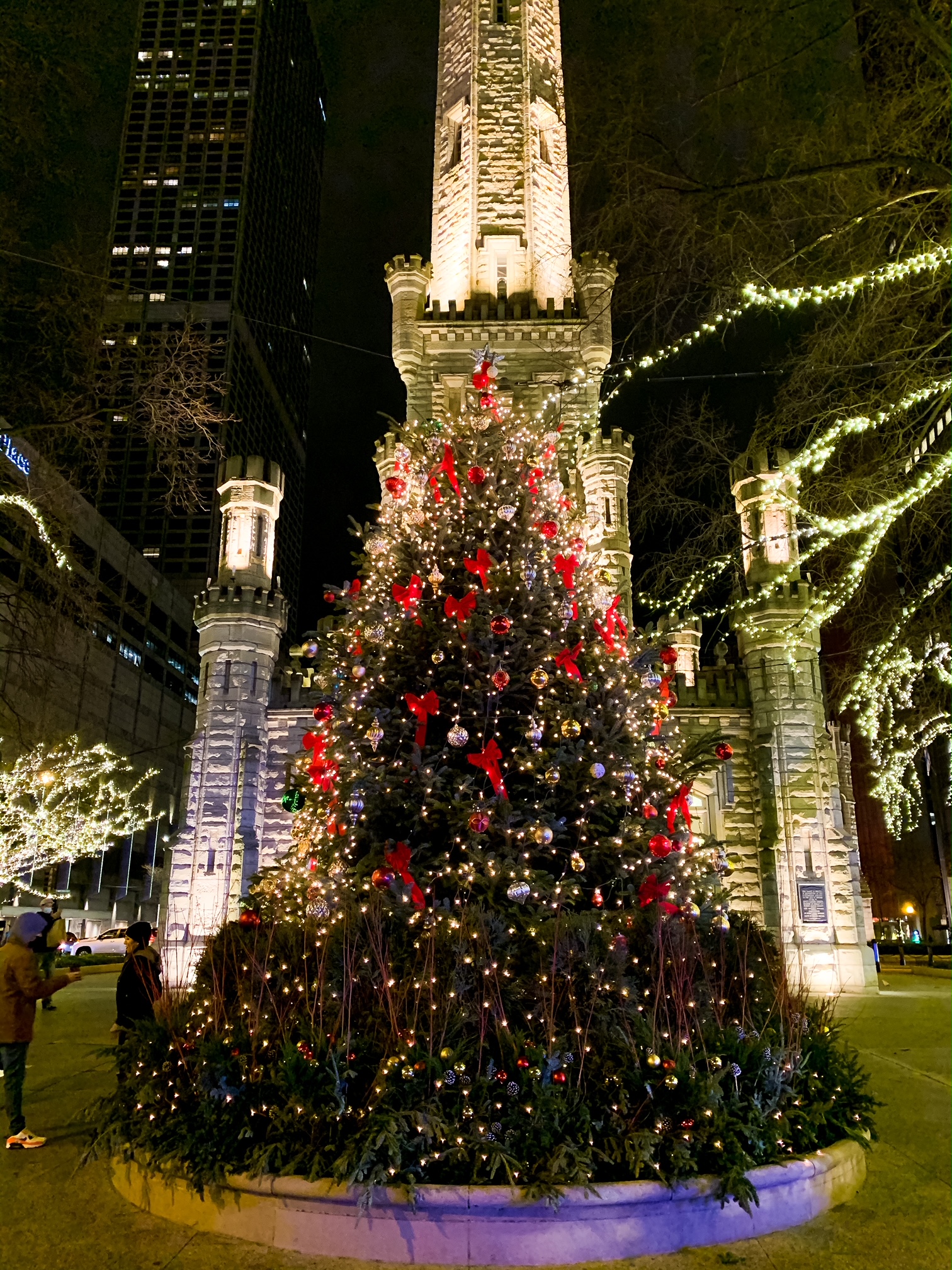 Chicago christmas tree deals