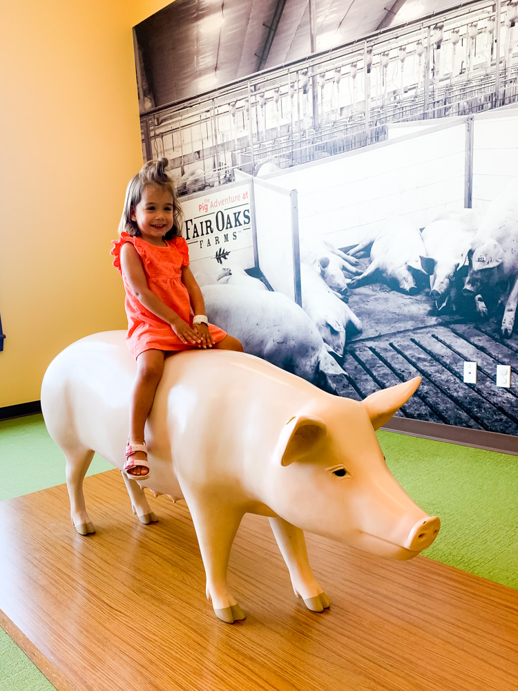 child riding a pig statue