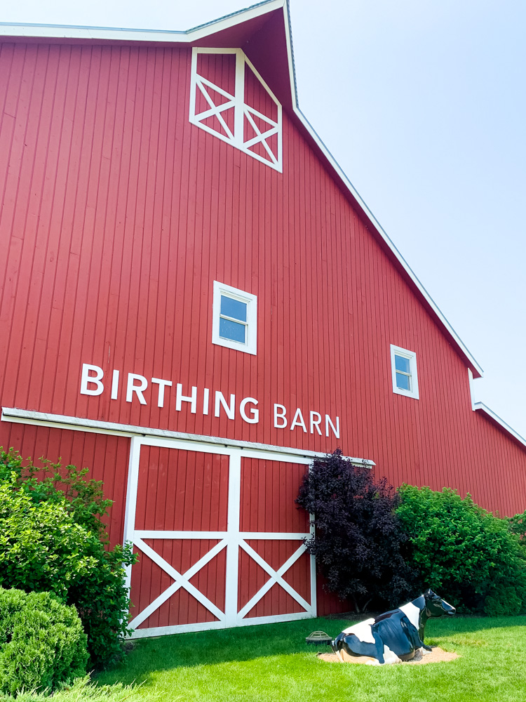 red exterior of cow birthing barn