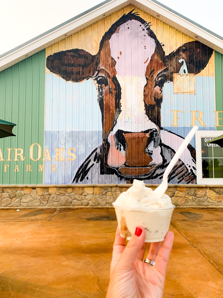 hand holding an ice cream with Fair Oaks Farm on the background