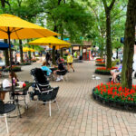 Chicago Neighborhood Guide – Mariano Park