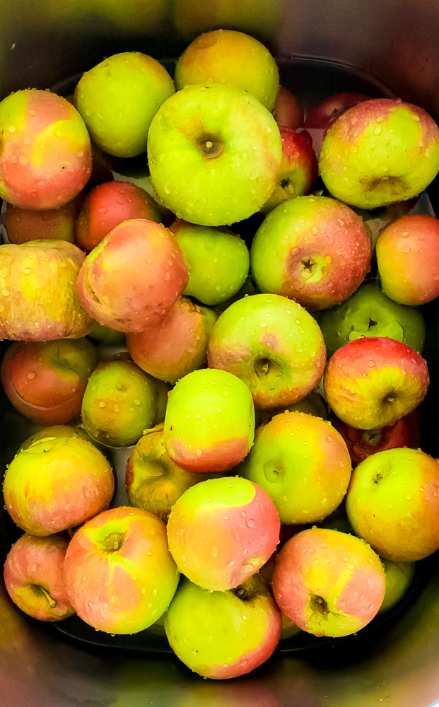 apples in a container