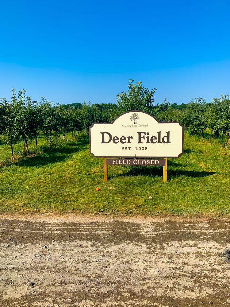 Deer Field 
