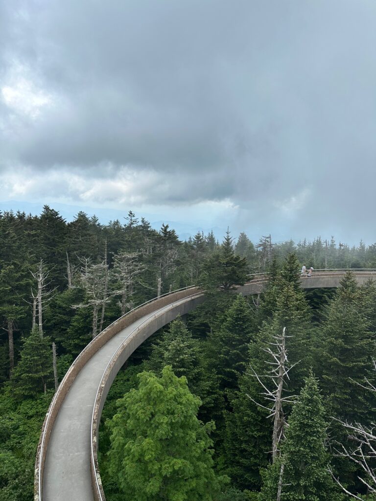 trails in clingmans dome, great smokey mountains 